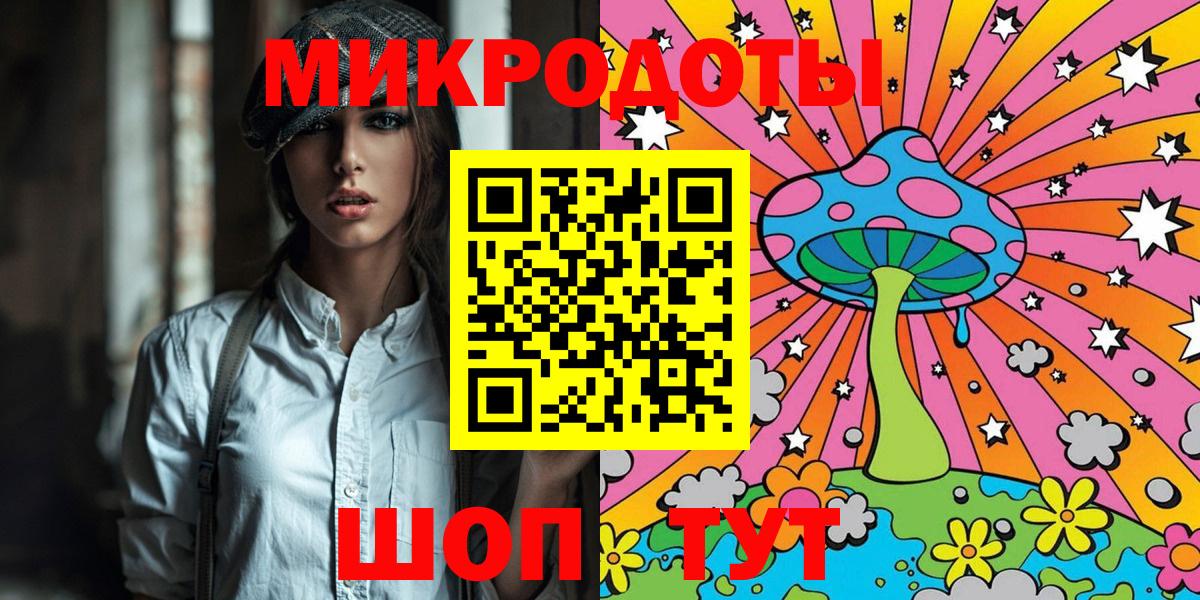 Галлюциногенные грибы Psilocybe Сосновый Бор