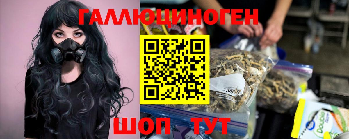 дарнет шоп  Вход с VPN  Сосновый Бор  Галлюциногенные грибы мухоморы 